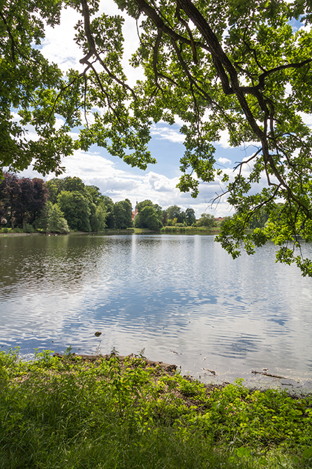 Schlossteich Machern