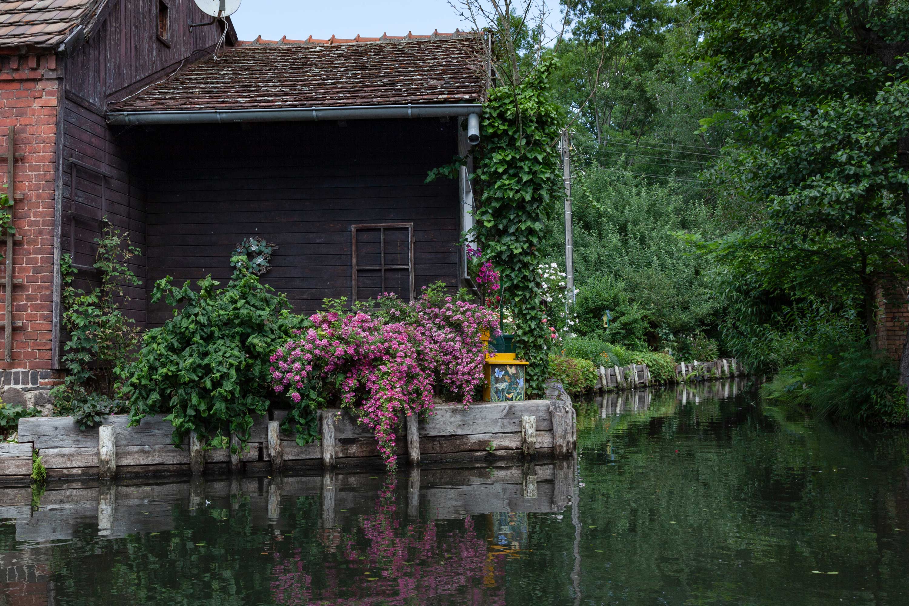 Spreewald 15